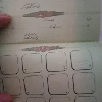 شناسنامه گمشده