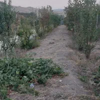 فروش باغ شهری نقش رستم