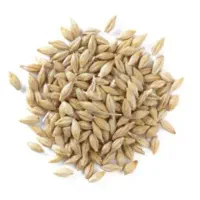 جو و تخم شبدر|خدمات باغبانی و درختکاری|شهرکرد, |دیوار