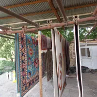 قالیشویی احدی