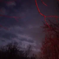 انواع خدمات منزل