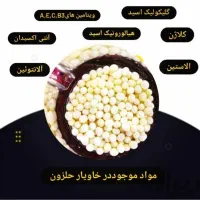 فروش حلزون البینو و آچاتینا|خزنده|قزوین, |دیوار