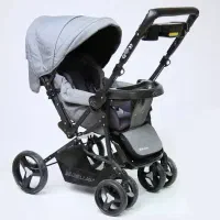 کالسکه دلیجان