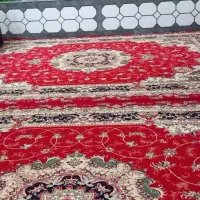 دو جفت قالی ۱۲ متری|فرش|کازرون, |دیوار