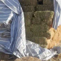 یونجه خشک|لوازم جانبی حیوانات|هشترود, |دیوار