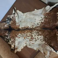 پوست بز|صنایع دستی و سایر لوازم تزئینی|مشهد, کوشش|دیوار