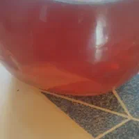 عسل کنار.کندوبه‌شرط‌تضیمن