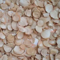 موسیر درجه یک و دو همدان|خوردنی و آشامیدنی|قم, باغ شریفی|دیوار