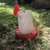 فروش آب خوری ودان خوری بزرگ