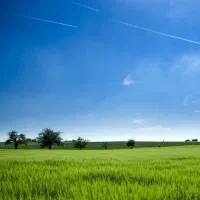 زمین ویلا باغ شهری‌ ،کشاورزی