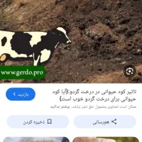 خریداری کود گاو و گوسفند