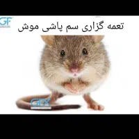 سمپاشی*بدونه تعطیلی ضمانتی*سم پاشی انواع حشرات قیر|خدمات نظافت|اهواز, گلستان|دیوار
