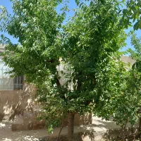 فروش خانه ویلایی ۸۰ متری ۱ خوابه