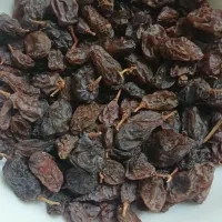 گردو، کشمش، مویز|خوردنی و آشامیدنی|تهران, باغ فیض|دیوار