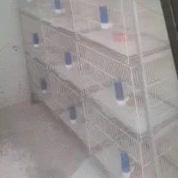 قفس|لوازم جانبی حیوانات|قم, باغ کرباسی|دیوار