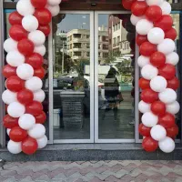 بادکنک آرایی 2یار،افتتاحیه،تنپوش عروسک،فینگرفود|خدمات پذیرایی، مراسم|تهران, دبستان|دیوار