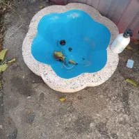 حوض آب