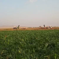 پیدا شده  کارت بانکی جامشورانی