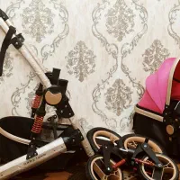 کالسکه برند بی بی لاو آلمان