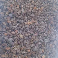 کشمش آفتابی