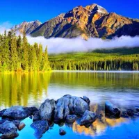 طبیعتگردی سینما کنسرت