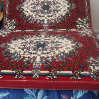 پشتی دونه ای ۲۰۰