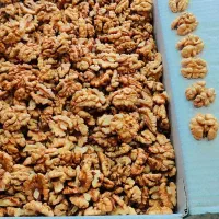 نیرو جهت کار در خشکبار و مواد غذایی