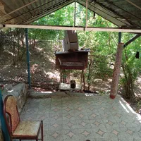 انواعسویت در باغ روستای خانقاه پاوه