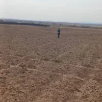 زمین-فروشی-شاهنامه-80