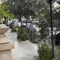 پیش-فروش-نقلی-پیوندی