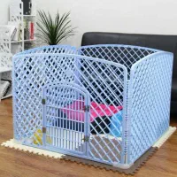 فروش سگ پامر اصیل پاکوتاه پشمالو|سگ|رامشیر, |دیوار