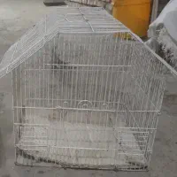 قفس پرنده