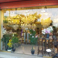 ( لوستر پارس )