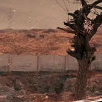 طلا جواهر  کارگاه...