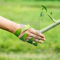 کافی نت انلاین پرند