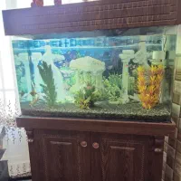 آکواریوم شیشه خم