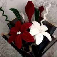 سایر