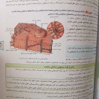 زیست جامع خیلی سبز|کتاب و مجله آموزشی|کرمانشاه, |دیوار