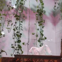 راهنمایی آزمون استخدامی