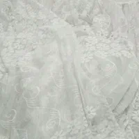 پرده دانتل