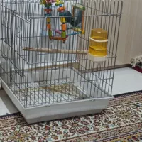 قفس عروس هلندی|لوازم جانبی حیوانات|سنقر, |دیوار