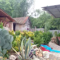 اجاره ویلا  سوئیت سنتی|اجارهٔ کوتاه‌مدت آپارتمان و سوئیت|پایین هولار, |دیوار