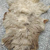 زیر انداز پوستی