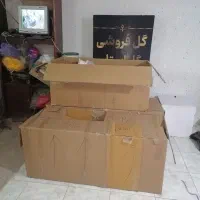 کارتن بزرگ جای گل نرگس