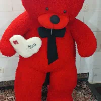 خرس ولنتاین