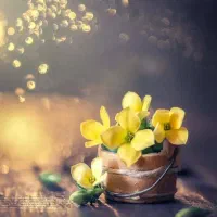 میخای اولین قدم رو به سوی زندگی سالم برداری
