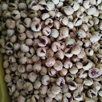 انجیر ارگانیک|خوردنی و آشامیدنی|شیراز, شهرک پرواز|دیوار