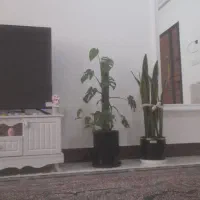 واحد ۱۰۰ متری رهن و اجاره
