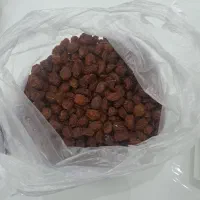 الو برغون  کیلو ۲۷۰ تومان می باشد|خوردنی و آشامیدنی|اندیشه, شهرک کوثر|دیوار