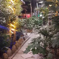 گردشگری|خدمات پذیرایی، مراسم|آسارا, |دیوار